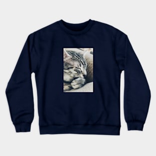 Cat prayers Crewneck Sweatshirt